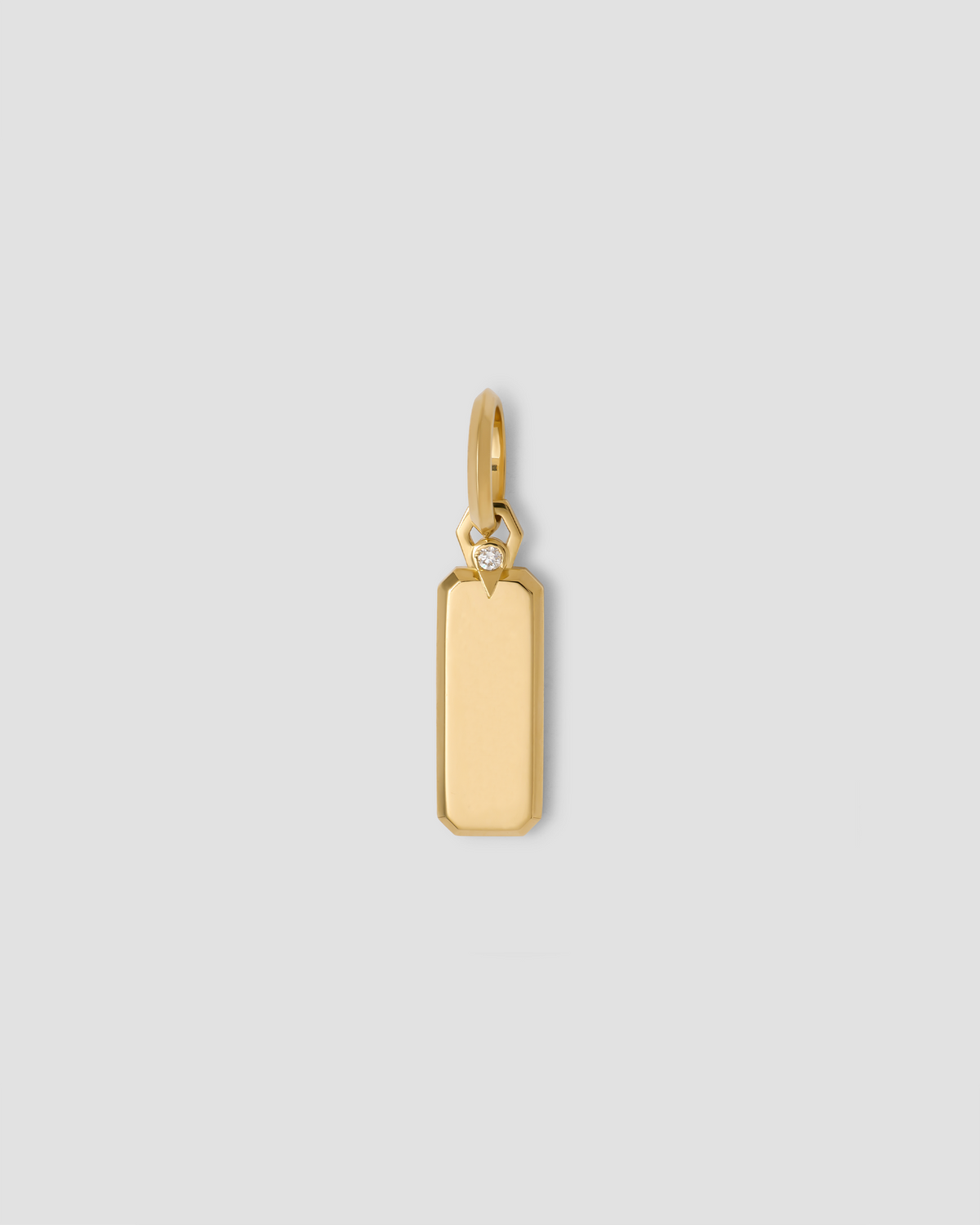 Small Dog Tag
